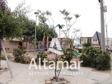 Imagen 22