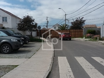 Imagen 5