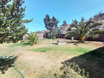 Imagen 21