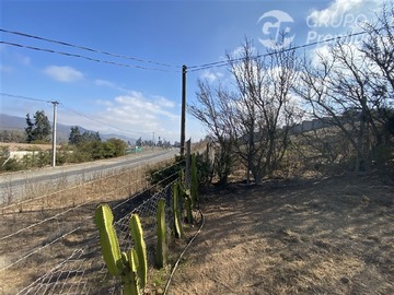 Imagen 21