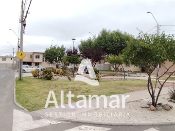 Imagen 24
