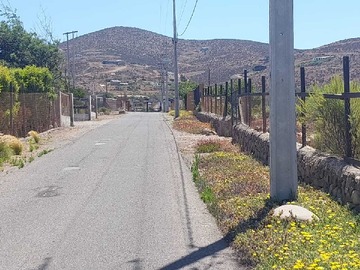 Imagen 19