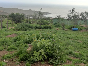 Arriendo Mensual / Casa / La Serena