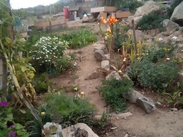 Arriendo Mensual / Casa / La Serena