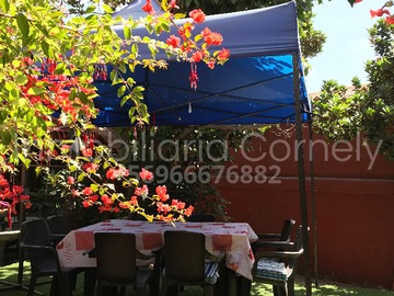 Imagen 12