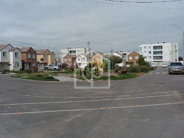 Imagen 6