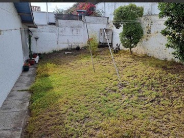 Imagen 6