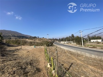 Imagen 25