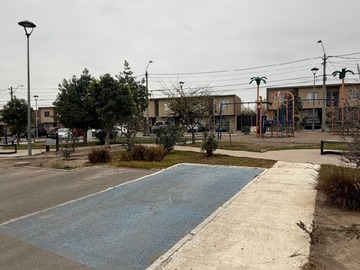 Imagen 25