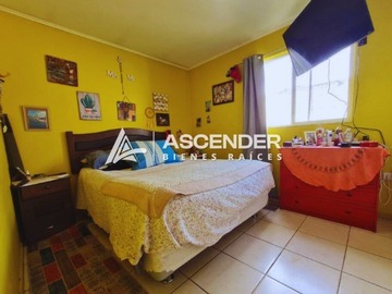 Imagen 5