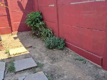 Imagen 11