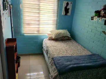 Imagen 11