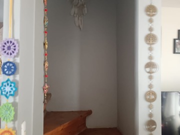 Imagen 8