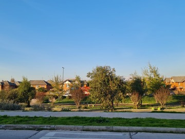 Imagen 20