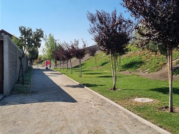 Imagen 26