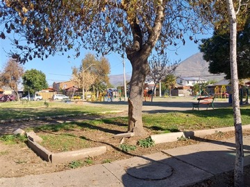 Imagen 25