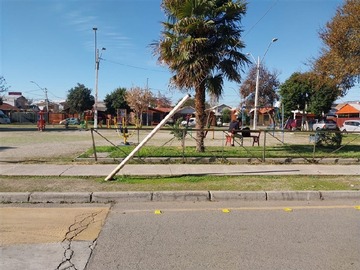 Imagen 26
