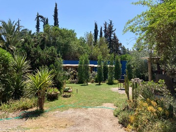 Imagen 5