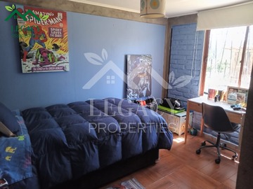 Imagen 12