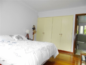 Imagen 19