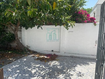 Imagen 12