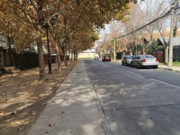 Imagen 20