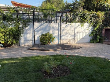 Arriendo Mensual / Casa / Las Condes