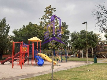 Imagen 17
