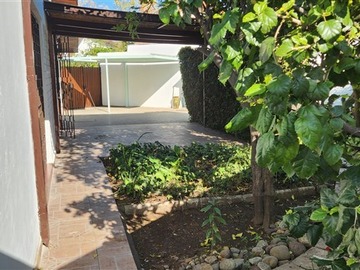 Imagen 22