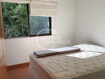 Imagen 13