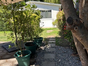 Arriendo Mensual / Casa / Las Condes