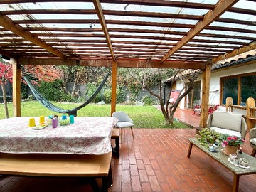 Imagen 6