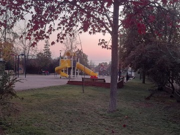 Imagen 14
