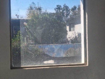 Imagen 6