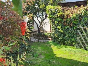 Imagen 20