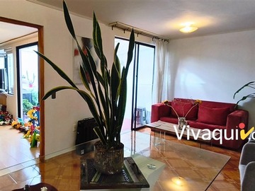 Imagen 5
