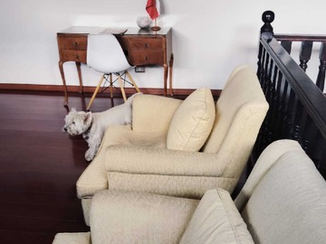 Imagen 10