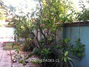 Imagen 20