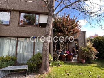 Imagen 6