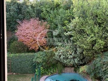 Imagen 12