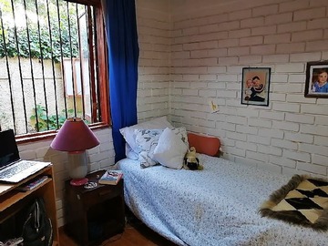 Imagen 14