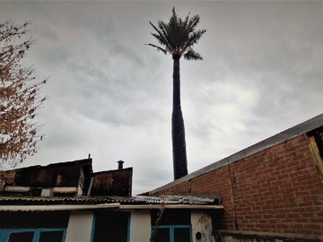 Imagen 27