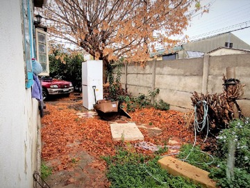 Imagen 6