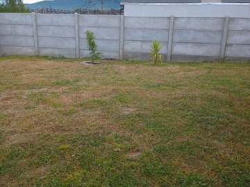 Imagen 6