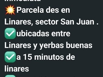 Imagen 16