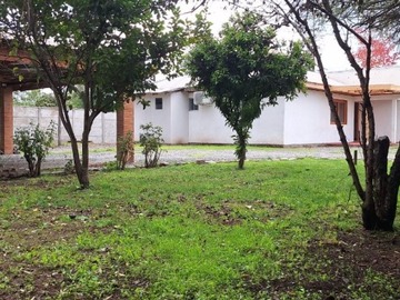 Imagen 13