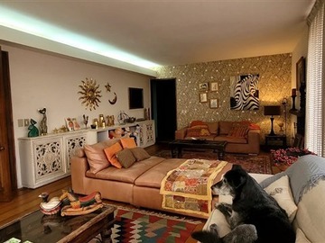Imagen 15