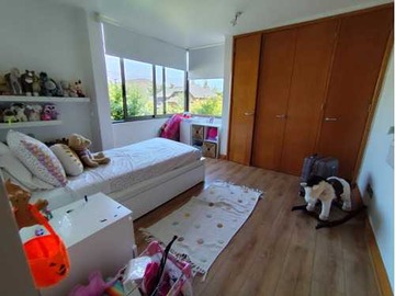 Imagen 18