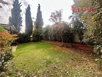Imagen 23