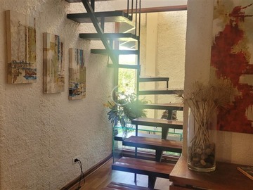 Imagen 5